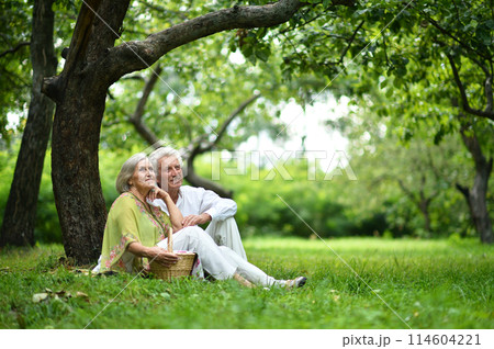 Portrait of a beautiful elderly couple in summer park Portrait of a beautiful elderly couple in summer park 114604221