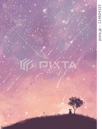 星が流れる夜空 114604325