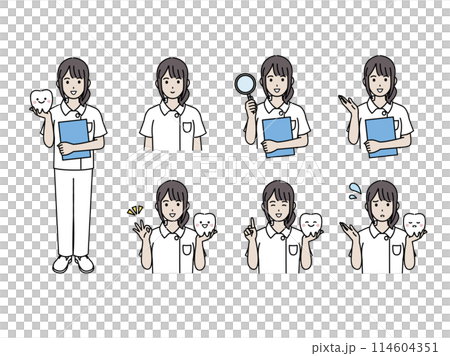 Dentist and dental hygienist female illustration set Dentist and dental hygienist female illustration set 114604351