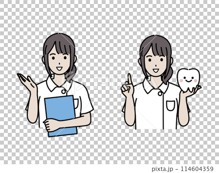 歯について説明する歯医者、歯科衛生士の女性のイラスト 114604359