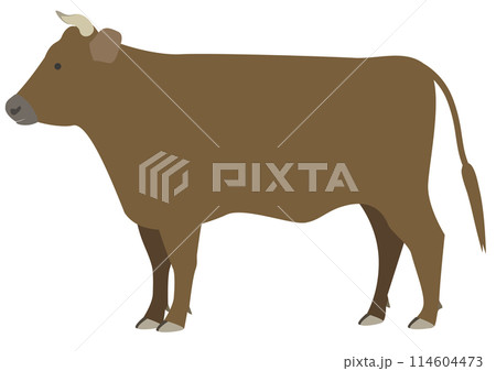 横から見た茶色い角のある牛のイラスト 横から見た茶色い角のある牛のイラスト 114604473