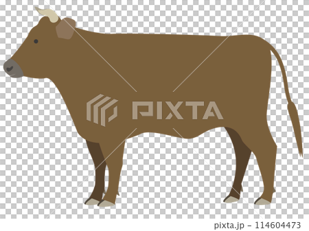 横から見た茶色い角のある牛のイラスト 横から見た茶色い角のある牛のイラスト 114604473