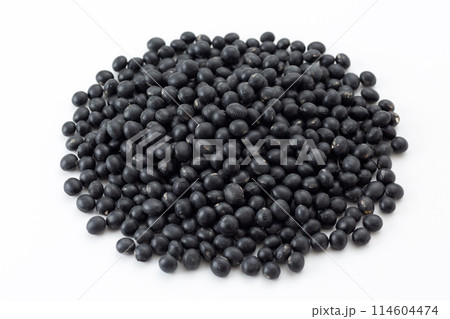 黒大豆 114604474