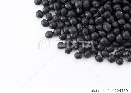 黒大豆 黒大豆 114604520