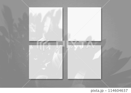 Natural light casts shadows from the plant on 4 square sheets of white textured paper lying on a gray background. Mockup 114604637