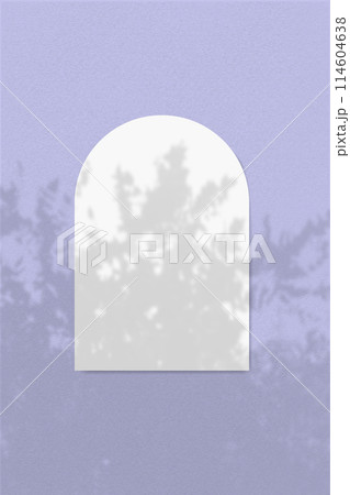 A rowan branch casts a shadow on a sheet of white textured paper in the shape of an arch against a violet wall. A rowan branch casts a shadow on a sheet of white textured paper in the shape of an arch against a violet wall. 114604638