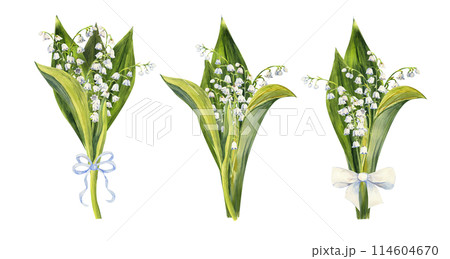 Set of bouquets of lily of the valley flowers, drawn by hand. Watercolor illustration of spring flowers 114604670