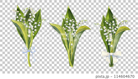 Set of bouquets of lily of the valley flowers, drawn by hand. Watercolor illustration of spring flowers Set of bouquets of lily of the valley flowers, drawn by hand. Watercolor illustration of spring flowers 114604670