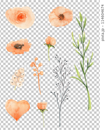 Watercolor clip art of spring flowers beige eustoma,twigs 114604674