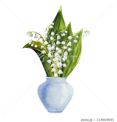 Hand drawn bouquet of lily of the valley flowers in a white vase. Watercolor illustration of spring flowers 114604691