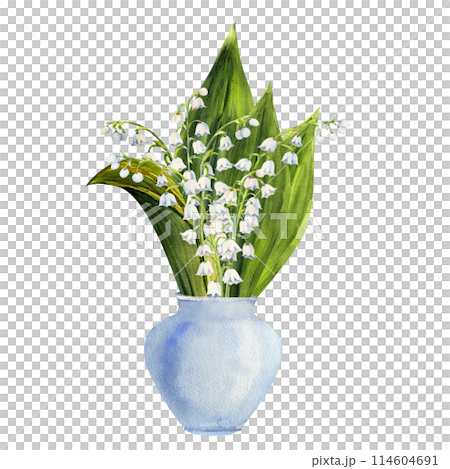 Hand drawn bouquet of lily of the valley flowers in a white vase. Watercolor illustration of spring flowers 114604691