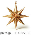 クリスマスツリー　スター　リアル 114605136