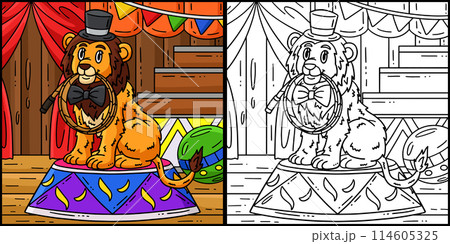Circus Lion Biting Whip Colored Illustration 114605325