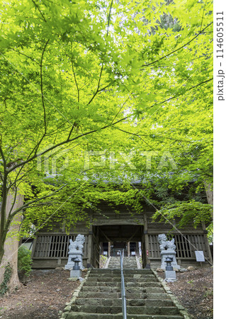 宮城県涌谷町春の箟岳山箟峯寺 114605511