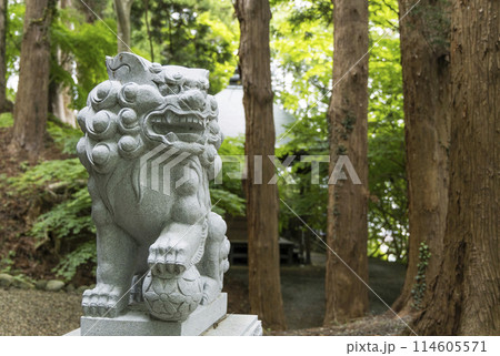 宮城県涌谷町春の箟岳山箟峯寺 114605571