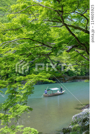 新緑の嵐山 114605925