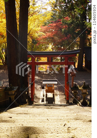 鳥居と紅葉 114605934