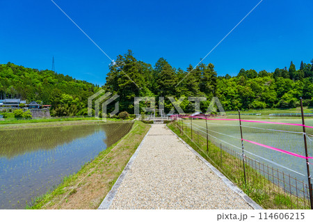 奈良県奈良市　第四十九代光仁天皇　田原東陵の参道 114606215