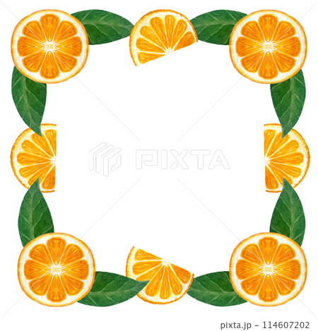 Orange fruit slice with green leafs watercolor frame isolated on white. High quality hand drawn art in a simple style for packages, restaurant menu, natural organic food logo, cards and posters Orange fruit slice with green leafs watercolor frame isolated on white. High quality hand drawn art in a simple style for packages, restaurant menu, natural organic food logo, cards and posters 114607202