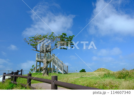 石垣島の南ぬ浜町緑地公園の展望台 石垣島の南ぬ浜町緑地公園の展望台 114607340
