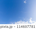 青空に高く上がった凧　 114607781