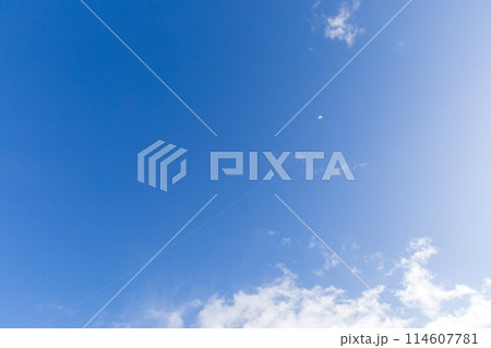 青空に高く上がった凧 青空に高く上がった凧 114607781