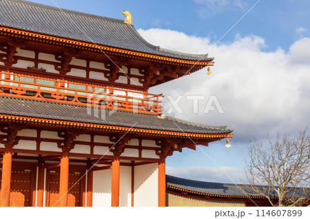 奈良の朱雀門 114607899