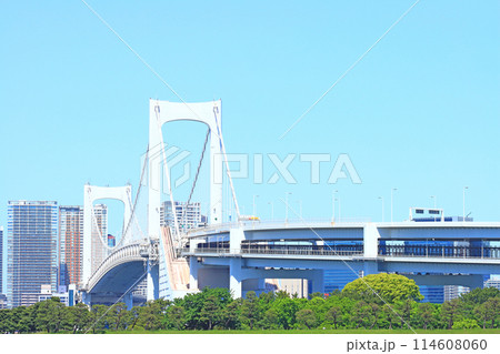 東京都港区、レインボーブリッジの風景 114608060