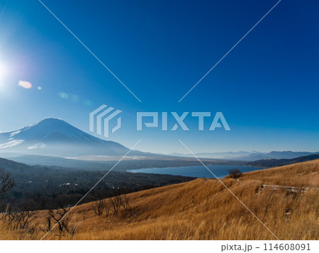 早春の富士山 山中湖側展望台からの景色 早春の富士山 山中湖側展望台からの景色 114608091