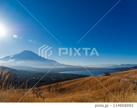 早春の富士山 山中湖側展望台からの景色 早春の富士山 山中湖側展望台からの景色 114608092