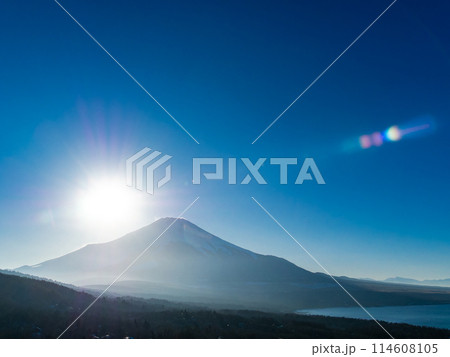 早春の富士山 山中湖側展望台からの景色 早春の富士山 山中湖側展望台からの景色 114608105
