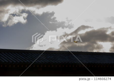 屋根の上を飛ぶ凧 屋根の上を飛ぶ凧 114608274