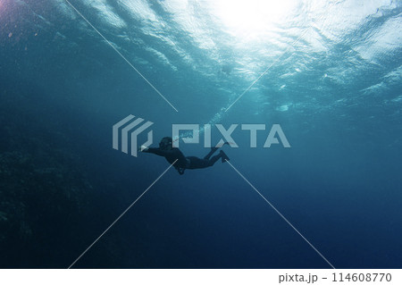 Freediver Swimming in Deep Sea With Sunrays. Young Man Diver Eploring Sea Life. 114608770