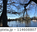 ロマンチックな朝の公園 114608807