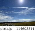 まっすぐな飛行機雲 114608811