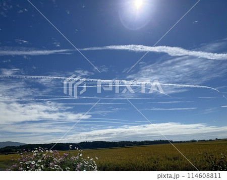まっすぐな飛行機雲 114608811
