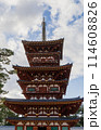 奈良市　薬師寺の西塔 114608826