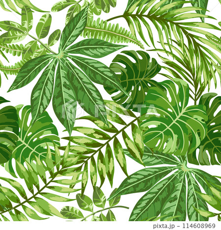 Seamless exotic pattern with tropical leaves. Botanical illustration. Green background. 114608969