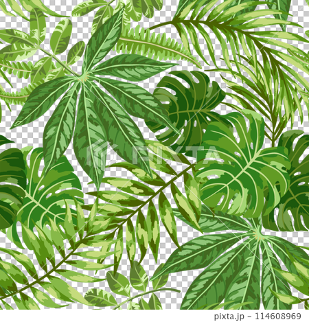 Seamless exotic pattern with tropical leaves. Botanical illustration. Green background. 114608969