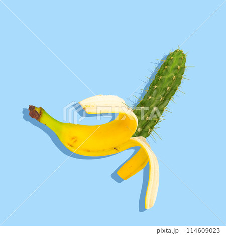 Surreal summer. Vibrant pop art style image of banana, fused with cactus. Surprising combination and artistic style. Contemporary art collage. 114609023