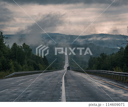 Straight empty highway stretching toward distant forest on a cloudy day Straight empty highway stretching toward distant forest on a cloudy day 114609071