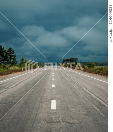 Straight empty highway stretching toward distant forest on a cloudy day 114609085