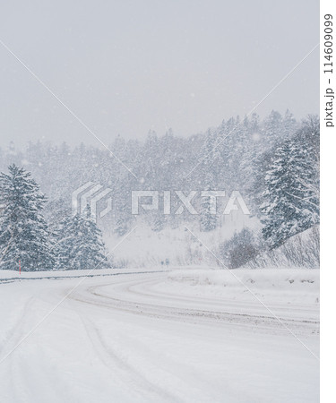 Winter snowstorm on a mountain road with dense forest in broad daylight 114609099