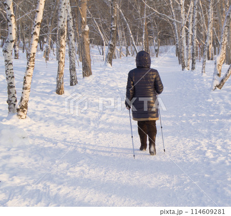 Winter Nordic walking for women. A healthy lifestyle 114609281