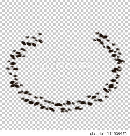 Brush  114609473