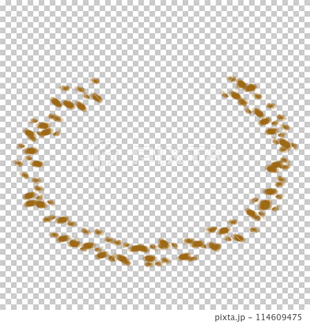Brush  114609475