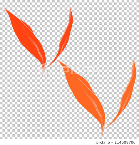 Brush  114609706