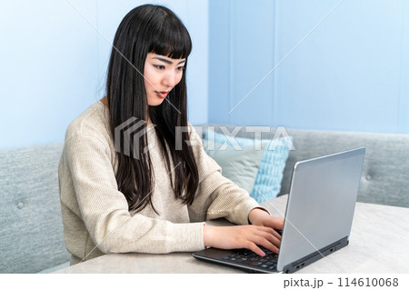 自宅でノートパソコンを使う若い女性 114610068