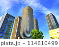 神奈川県　川崎市　武蔵小杉のマンション群 114610499