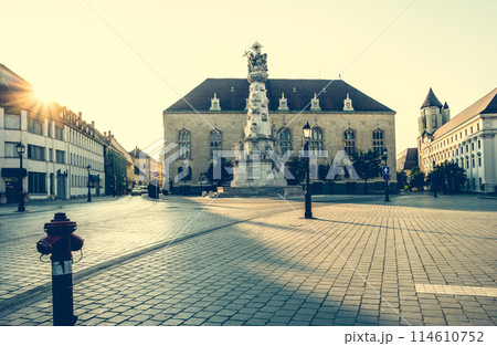 Statue of Holy Trinity and grounds in Budapest 114610752